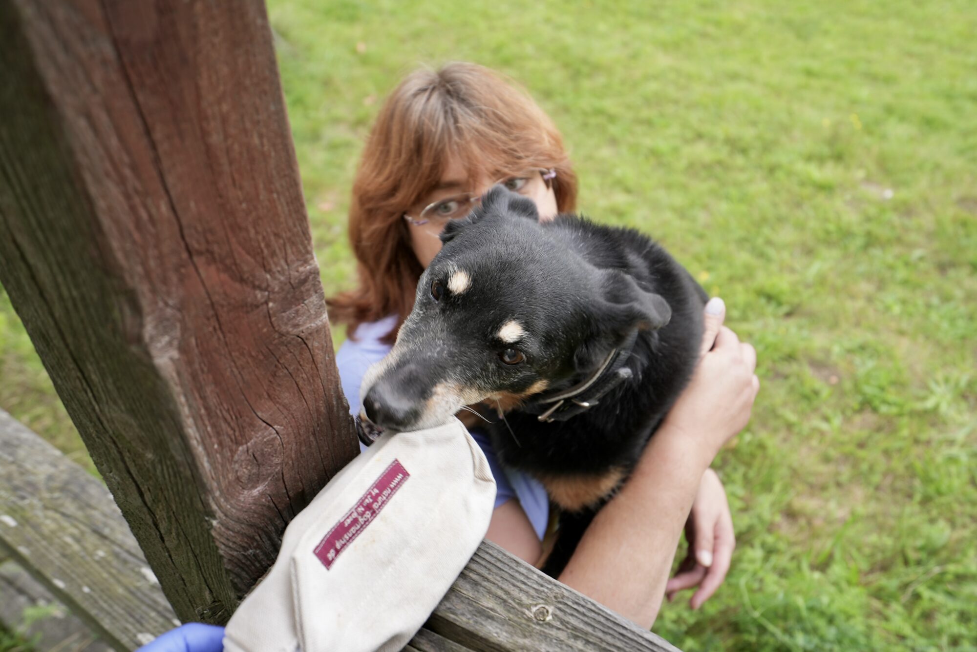 Hund greift den Preydummy, während Birthe ihn ruhig begleitet